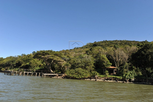 Imagem 2 de 8 de Sitio - Itapeva - Ref: 31569 - V-31566