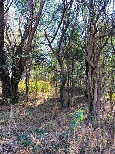 Imagen 1 de 8 de Lote En Venta En Barrio La Toma