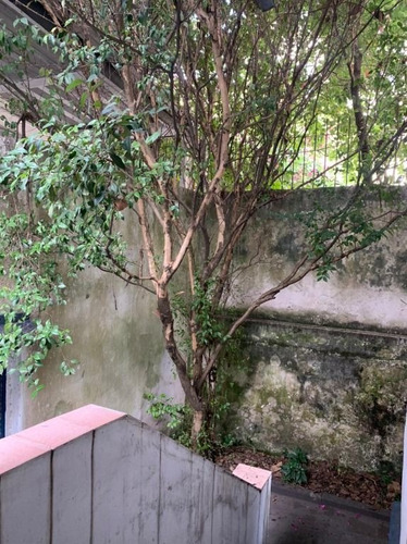 Imagem 19 de 21 de Casa Com 2 Dormitórios Para Alugar, 72 M² - Pinheiros - São Paulo/sp - Ca0120