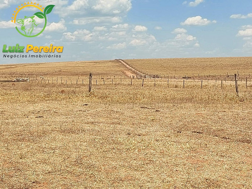 Imagem 5 de 14 de Fazenda À Venda Em Tupiratins - To -n 1.728 Hectares (dupla Aptidão) - 2058