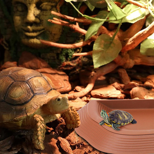 Plato De Agua De Reptil Plato De Agua De Plato De Agua De La
