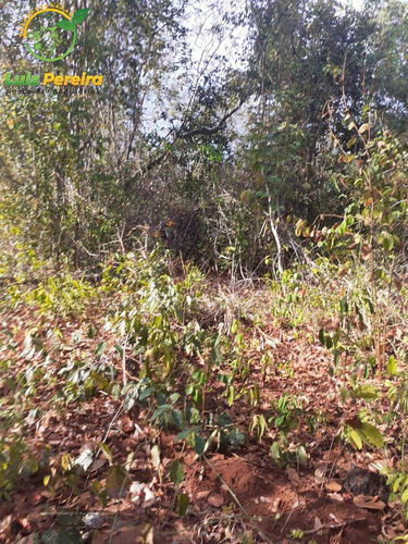Imagem 7 de 9 de Fazenda À Venda Em Araguaína - To - 687,28 Hectares (dupla Aptidão) - 2109