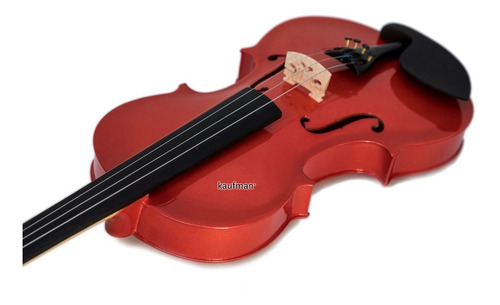 Imagen 2 de 5 de Violín 4/4 Acústico De Madera Real Con Estuche, Arco Y Brea