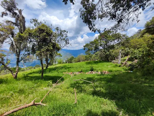 Lote En Copacabana Vereda El Zarzal