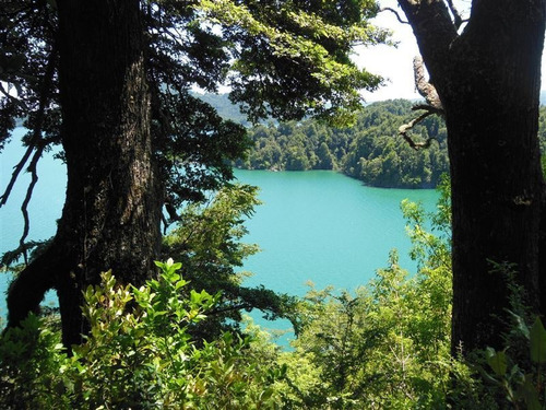 Imagen 8 de 30 de Sitio En Venta En Puyehue