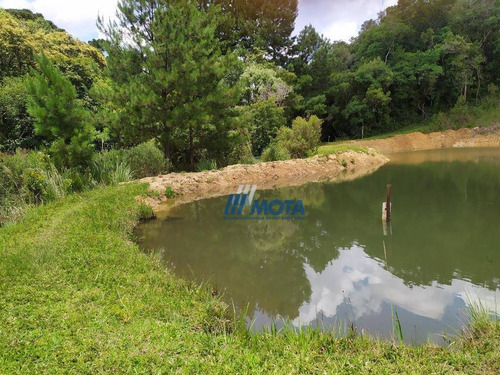 Chácara Com 5 Dormitórios À Venda, 45824 M² Por R$ 850.000 - Quatro Pinheiros - Mandirituba/paraná - Ch0173