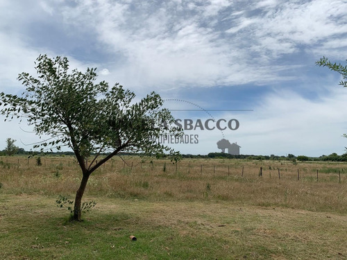 Imagen 19 de 30 de Hermoso Campo De 5 Hectáreas