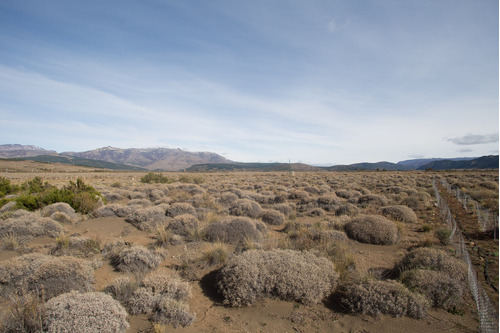 Terreno Lote En Venta En Las Marías Del Valle, San Martin De Los Andes, Patagonia