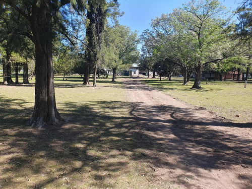 Campo En Villa San Marcial