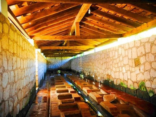 Imagen 12 de 13 de Remate! Terrenos A $80mil, Pueblo Mágico.