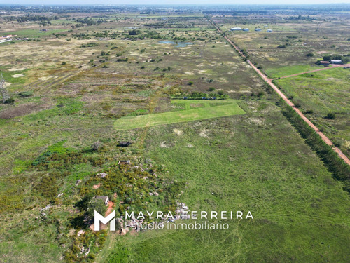 Venta De 4o Hectareas En Estaban Echeverria .canning