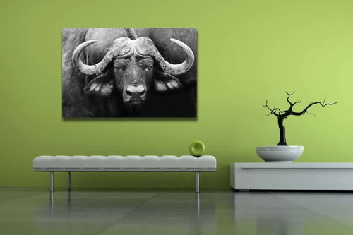 Cuadro Búfalo Blanco/negro Canva Pintura Impresa Lienzo Art