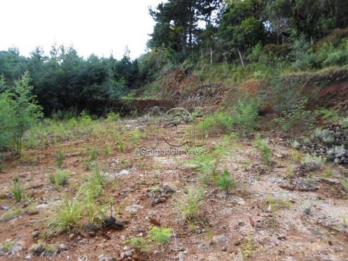 Imagem 3 de 15 de Terreno - Vale Das Colinas - Ref: 2371 - V-1655