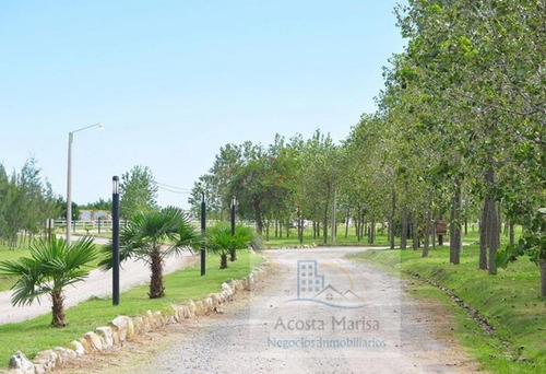 Imagen 3 de 4 de Venta De Lote Oportunidad