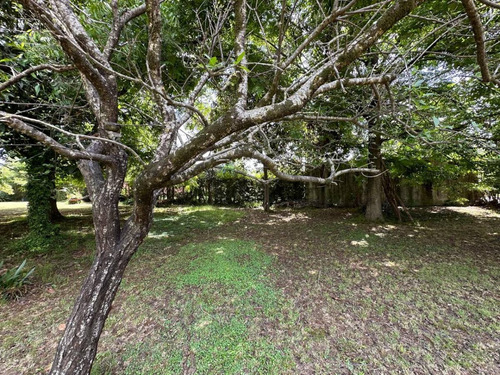 Lote En Venta