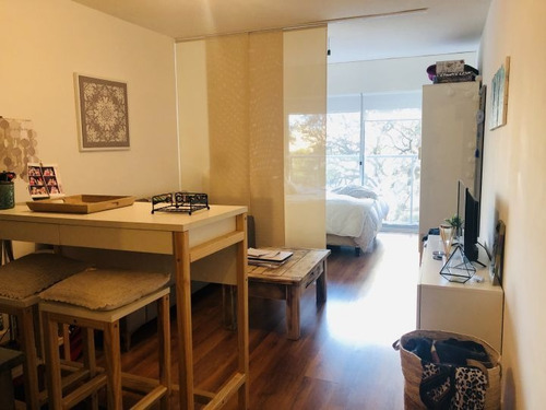 Imagen 2 de 12 de Venta Con Renta De Monoambiente En Marina De Ellauri Ii