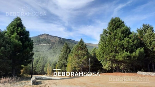 Imagen 16 de 29 de Oportunidad Solo Por 30 Dias! Espléndido Terreno En Altos De Pehuenia