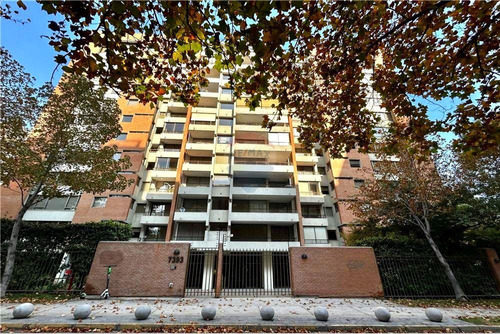 Espectacular Departamento En Arriendo