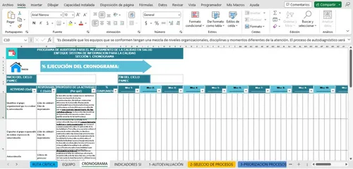 Formato Registro Ruta Crítica Pamec - Sistema Información