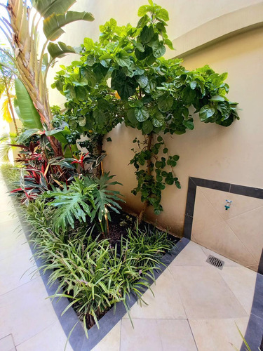Casa Única Se Vende En Barrio Sur