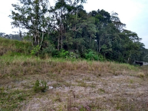 Imagem 12 de 13 de Terreno Industrial - Vila Jurubatiba - Ref: 894 - L-894