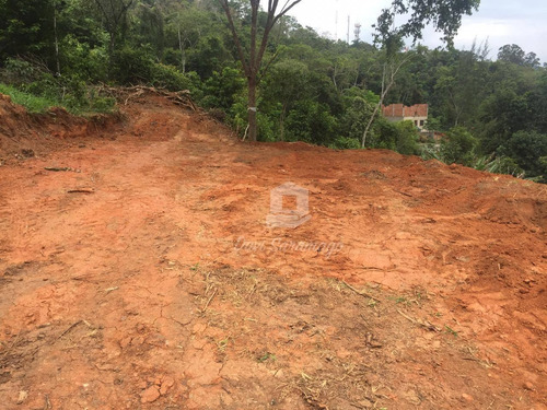 Imagem 8 de 22 de Terreno Amplo Para Desenvolvimento Imobiliário. - Te0019