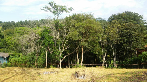 Chacara 2925m2(sem Casa),terreno Em Jarinu Bairro: Estancia Figueira Branca, Próximo Ao Condomínio Cambarah; Metragem: 2925 M² (30m De Frente X 97,5 - Ch00066 - 69345135