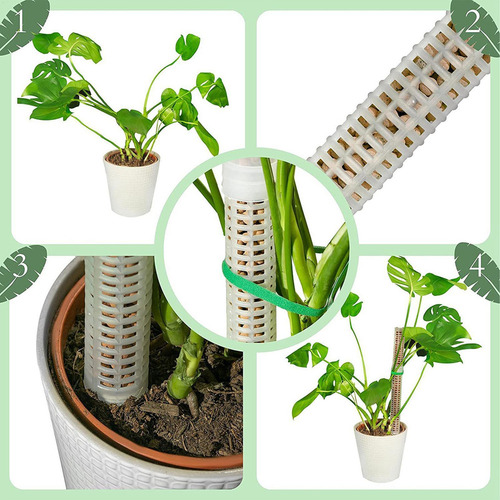 Puh Soporte Para Plantas Monstera De Poste De Musgo Poste