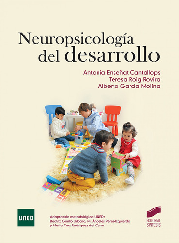 Neuropsicologia Del Desarrollo - Vv Aa 