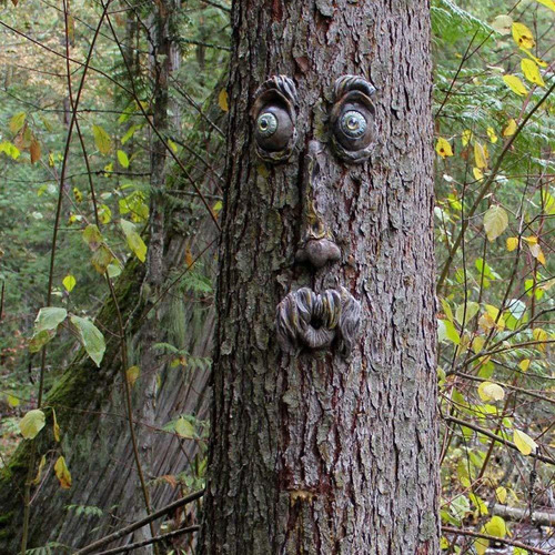 Innolites Old Man Tree Hugger Bark Ghost Face Facial Feature