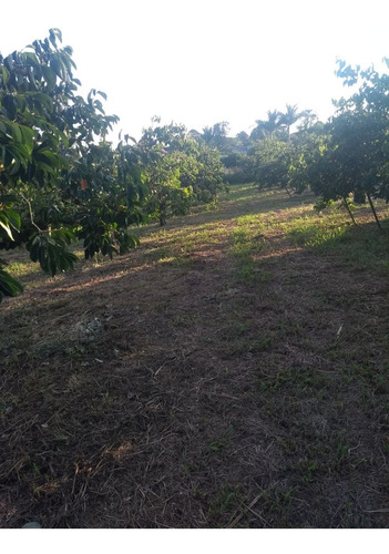 Imagem 1 de 5 de Lote Para Formação De Chácara, Em Mogi Das Cruzes - Sp