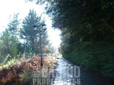 Imagen 1 de 3 de Sitio En Arriendo En Colina