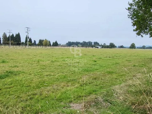 Parcela En Frutillar: Naturaleza Y Conectividad