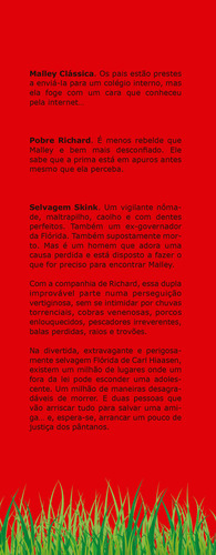 Skink: Não se renda, de Hiaasen, Carl. Editorial Editora nVersos, capa mole em português, 2016