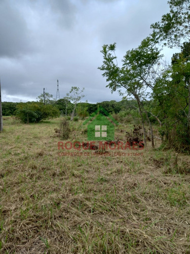 Imagem 2 de 30 de Terreno À Venda Em Iguape Sp Medindo 4 Alqueires Paulista Ref0940