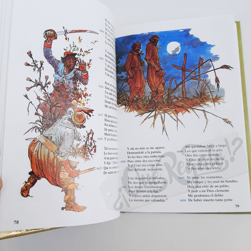 Libro Martín Fierro · J. Hernández · Ilustrado Y Vocabulario