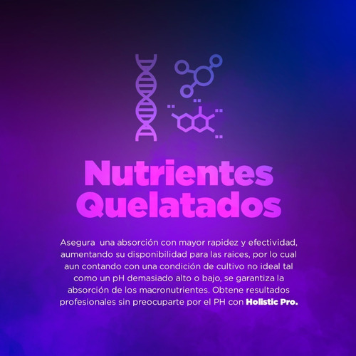 Pre Floracion Holistic Pro 100gr