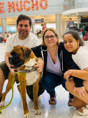 Traslado De Mascotas A Litoral Todo El Año