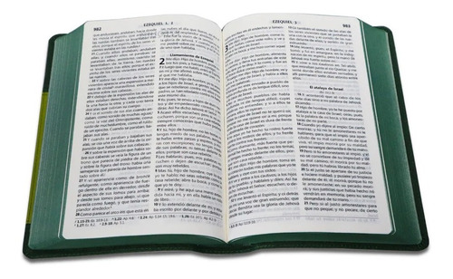 Biblia Reina Valera 1960 Letra Grande  Verde Con Relieve