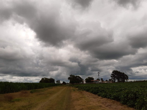 Imagen 9 de 30 de Campo En Córdoba (general Deheza)