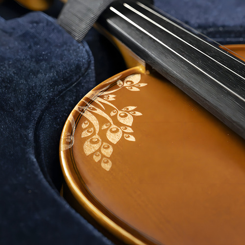 Violín Aureal Semiprofesional 1/2 Estuche Arco Brea Dh001-12 Color Café
