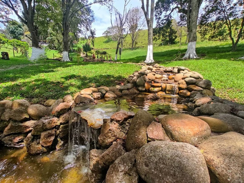 Imagen 13 de 19 de Posada Y Club Turistico. Venta. San Cristóbal