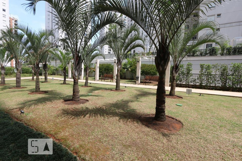 Apartamento À Venda - Panamby, 2 Quartos, 64 - S892977329