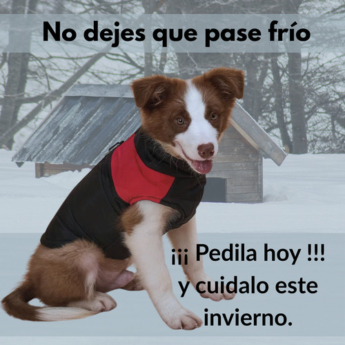 Campera Perro Impermeable Con Arnes(50 Cm De Largo Del Lomo) Rojo