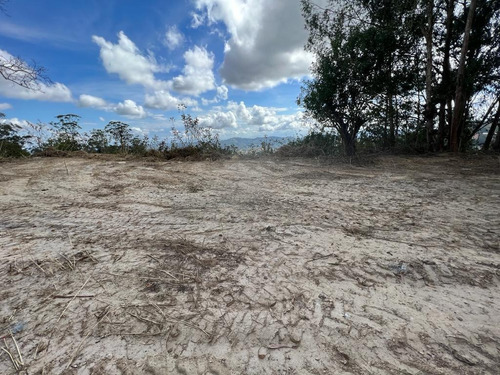 Imagen 6 de 7 de Se Vende Terreno 3.600m2 Alto Hatillo 7608