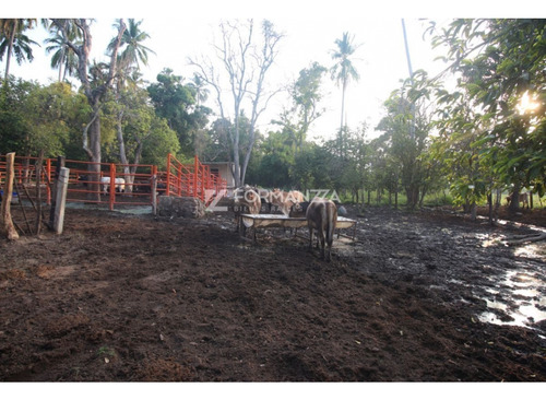 Terreno En Venta En Carretera Jala Coquimatlán