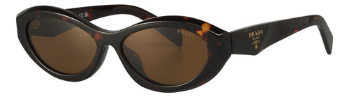 Prada Spr 26z 14l-09z Symbole Square Shape Tortoise (Usado)