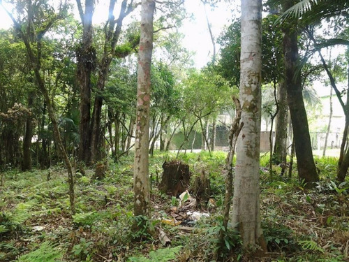 Imagem 6 de 6 de Sitio - Curucutu - Ref: 1428 - V-3551