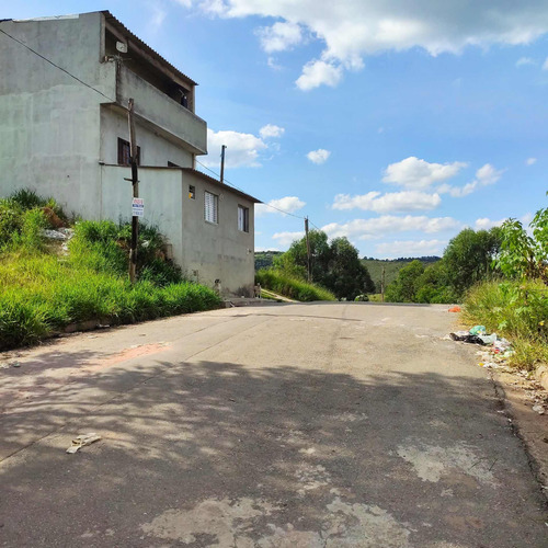 Imagem 3 de 4 de Terreno - Te00054 - 70826672