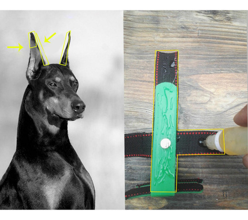 // Durable Dog Ear Stand Up Support Straighten Pet Para Sg